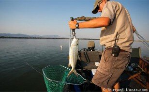 Chongwe Fishing 5