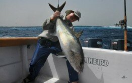 Red-Sea-FIshing564301_258106114281669_921685054_n