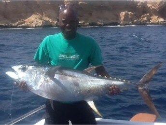 Yellow Fin Tuna Fishing 2